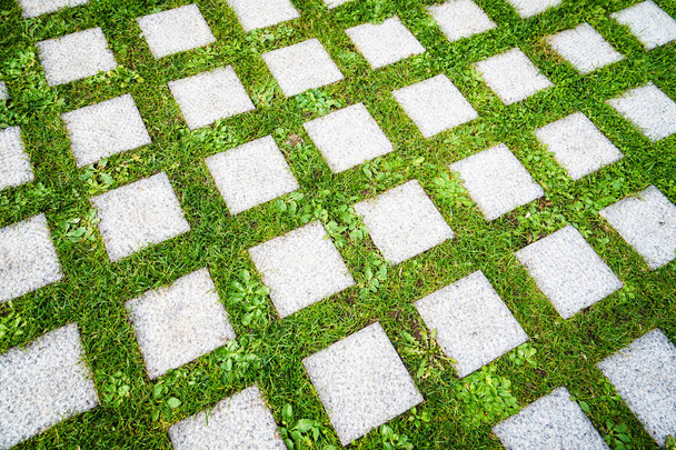 Pavimentazione pietre su erba
 - Foto, immagini