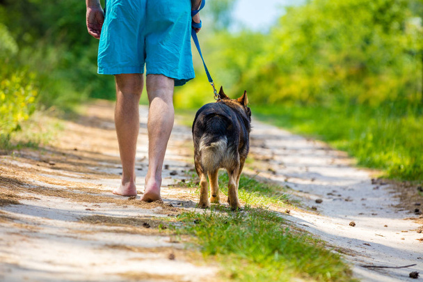 Man walking barefoot with a dog on dirt road in summer - Фото, зображення