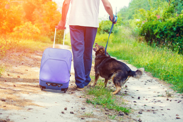 A man going with a dog on a leash on a dirt road in summer. Man holding travel bag - Foto, Imagem