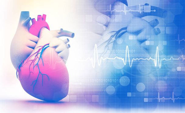 Lidské srdce s EKG graf na bílém pozadí - Fotografie, Obrázek