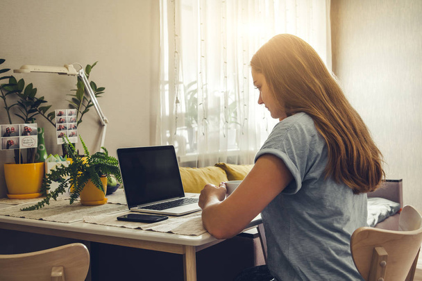 Jonge vrouw met haar laptop in de woonkamer - Foto, afbeelding