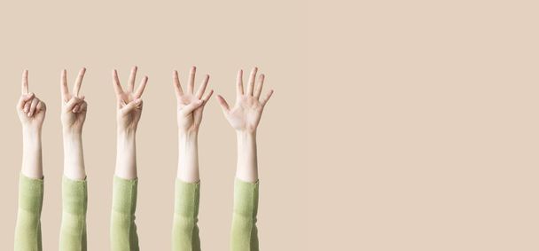 Elleri ve parmakları sayısal gösterilen kaldırdı - Fotoğraf, Görsel