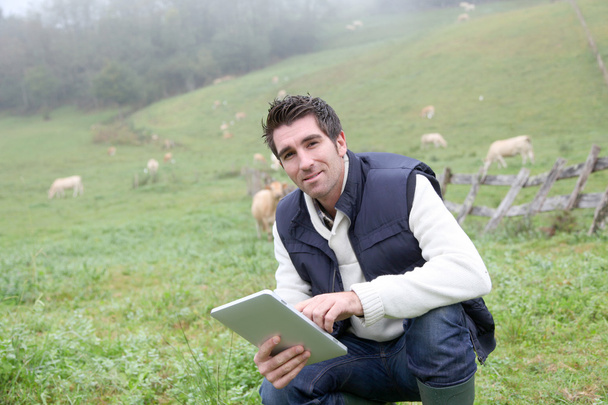 Breeder using electronic tablet in field - Foto, imagen
