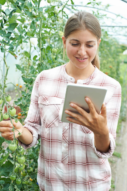 Female Scientist With Digital Tablet In Greenhouse Researching T - Фото, изображение