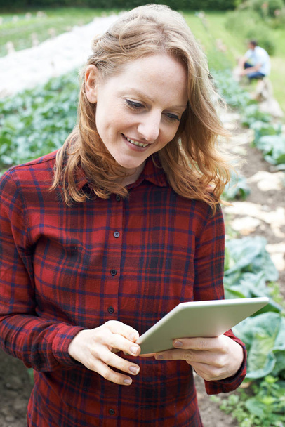 Trabajadora agrícola usando tableta digital en el campo
 - Foto, Imagen