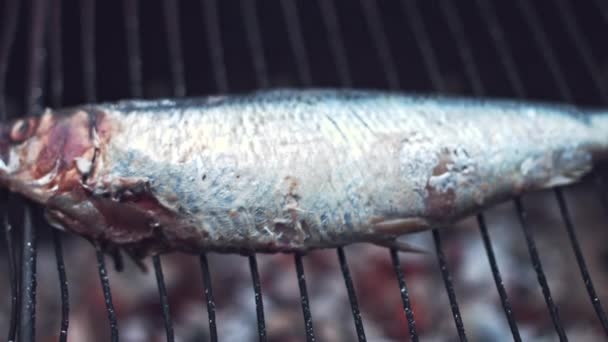 Свежая рыба и морепродукты
 - Кадры, видео