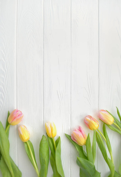 Krásný Tulipán květy na bílém pozadí dřevěná, prázdninové pohlednice pro Dámské den nebo den matek. Jarní květinové pozadí s kopie prostoru. Rozložení bytu. - Fotografie, Obrázek