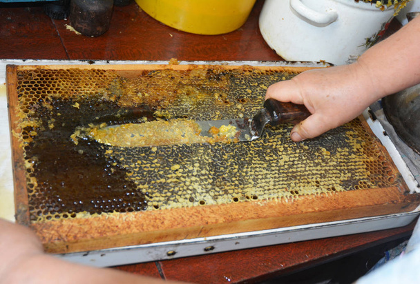 Nahaufnahme von der Hand des Imkers, der Honig aus der gelben Wabe gewinnt. Imker schneidet mit Spezialmesser Wachs vom Wabenrahmen ab. - Foto, Bild