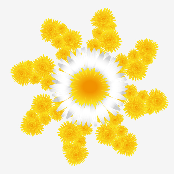 Dandelion and daisy flower - Vector, Image