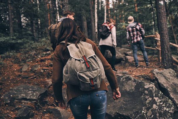 Rear view of friends with backpacks moving up while hiking in wood mountains - Foto, imagen