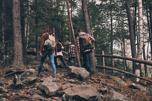 Rear view of friends with backpacks moving up while hiking in wood mountains - Foto, Imagen