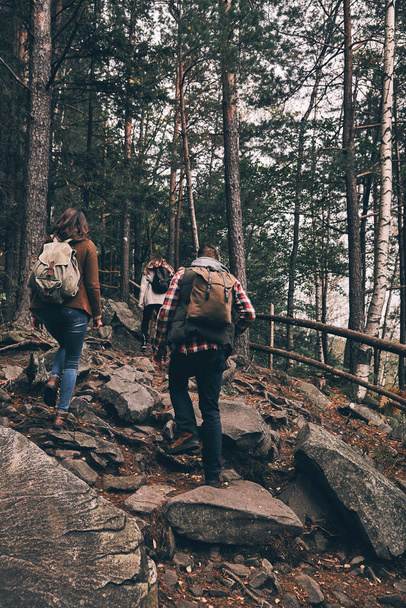 Rear view of friends with backpacks moving up while hiking in wood mountains - Foto, immagini
