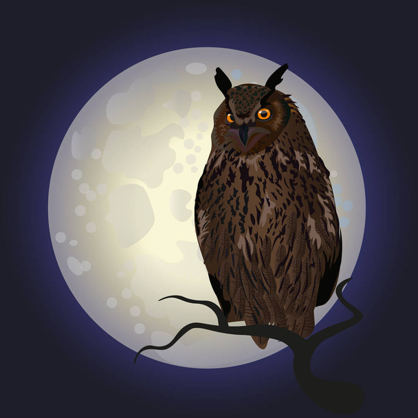 Owl against the full moon - Vektör, Görsel