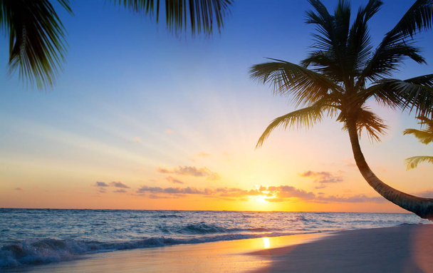 Красивый закат над тропическим пляжем
 - Фото, изображение