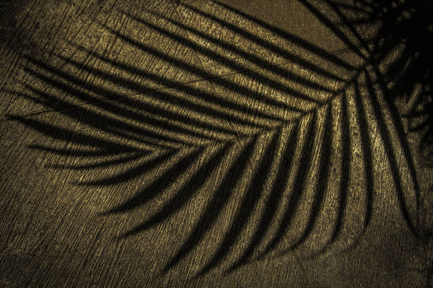 Palm tree leaves silhouette on the concrete floor - Photo, Image