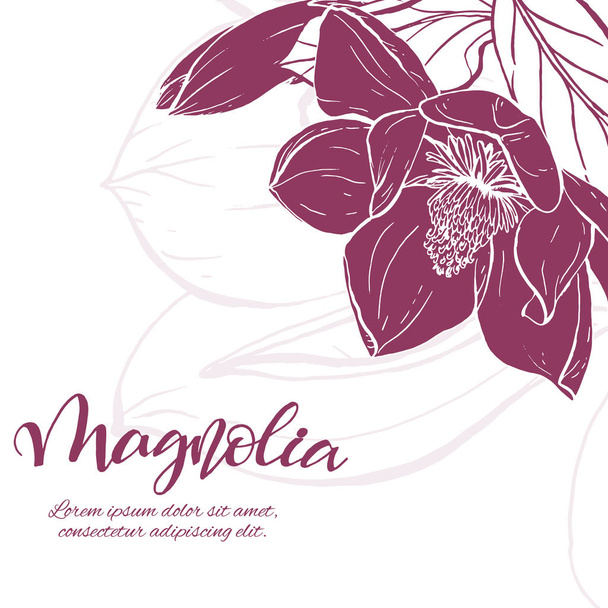 Sketch linear magnolia blossom. - Vektör, Görsel