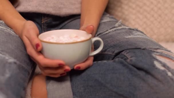 woman holding cup of cacao with marshmallow - Video, Çekim