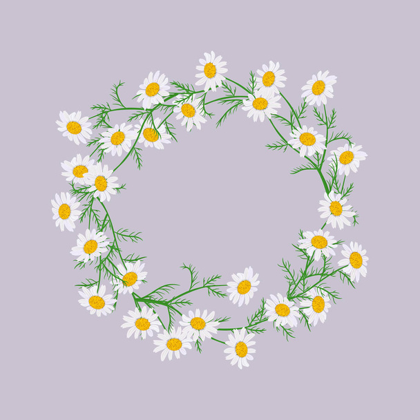 Vector flowers set. Beautiful wreath on purple background. Elegant floral daisy collection - Vettoriali, immagini