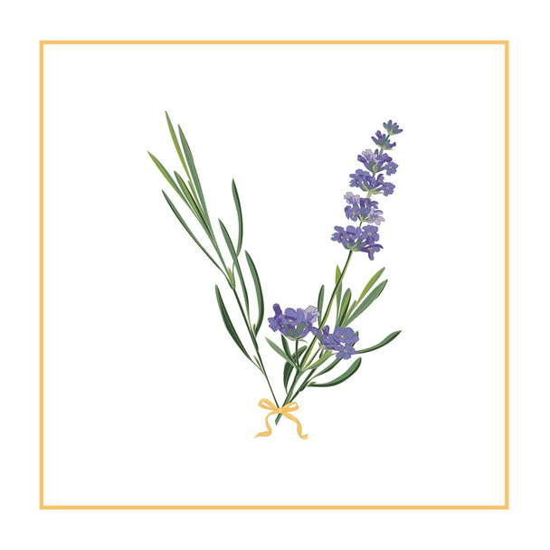 Letter V monogram. Retro sign alphabet with lavender flower initial - Vector, Image