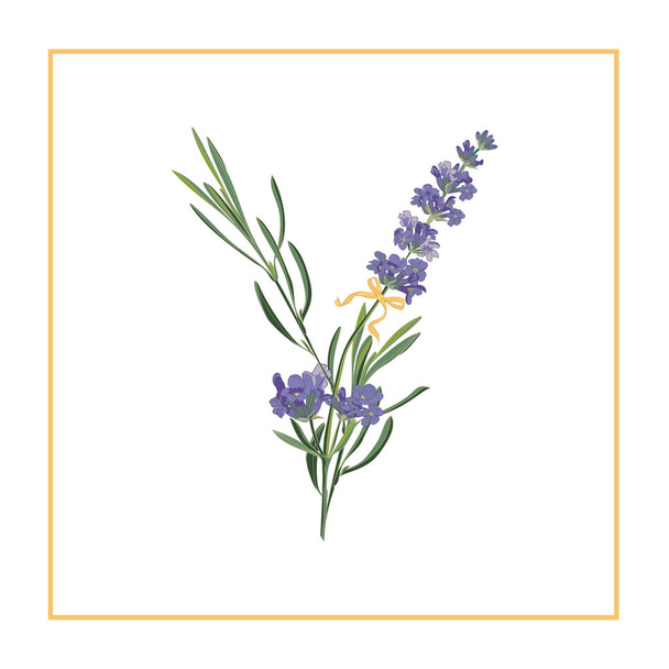 Letter Y monogram. Retro sign alphabet with lavender flower initial - Vettoriali, immagini