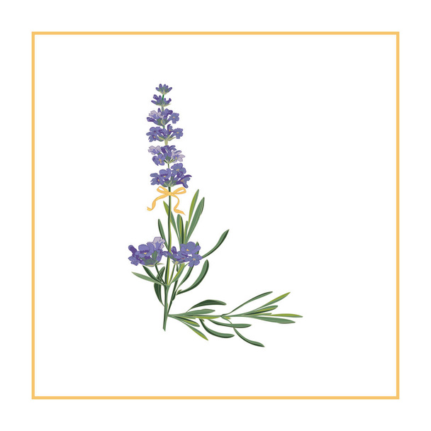 Letter L monogram. Retro sign alphabet with lavender flower initial - Vettoriali, immagini