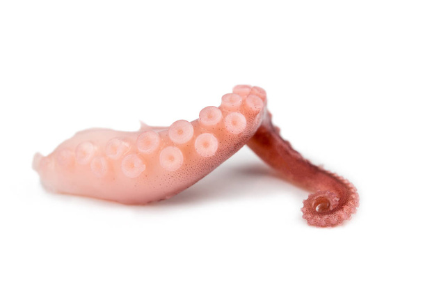 tentacules de poulpe isolés sur fond blanc
 - Photo, image