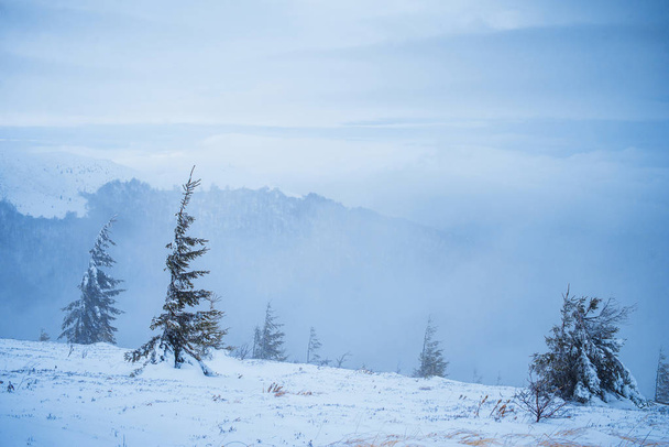 montanhas de inverno montanhas cobertas de neve inverno paisagem inverno dia inverno distância inverno manhã árvores nas montanhas no inverno
 - Foto, Imagem
