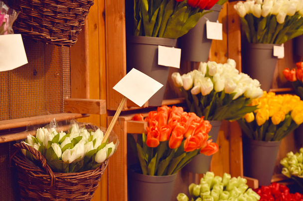 Colorful tulips on sale in Amsterdam flower market. Tulip flowers from Holland for sale , Amsterdam floral market. - 写真・画像