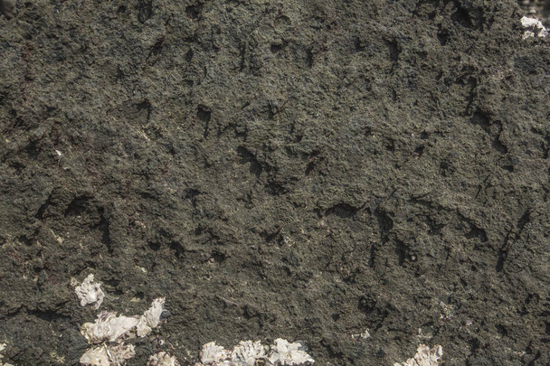 The rocky surface near the sea is lichen island. - Valokuva, kuva