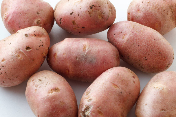 A lot of dirty potatoes on a white background. Potatoes scattered on a white background. - 写真・画像