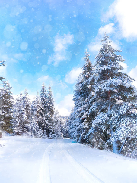 Χειμερινό τοπίο με χιονισμένο δάσος και δρόμο. Χιόνι κόσμο. Ροδόπης - Φωτογραφία, εικόνα
