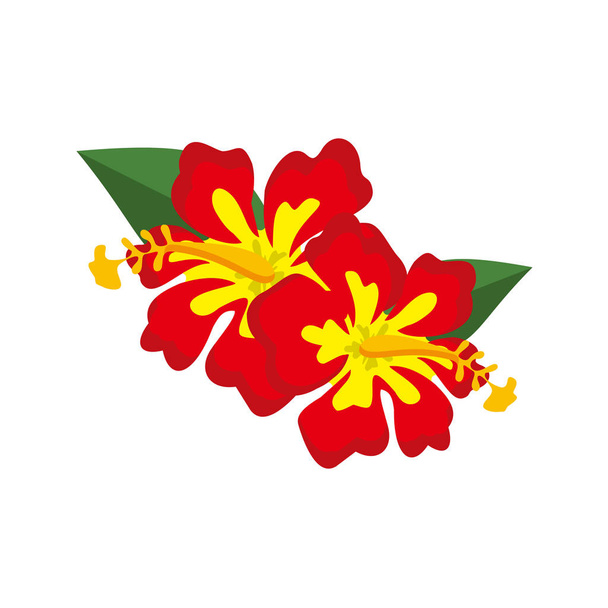 Decorative Red Hibiscus Flower Illustration - Vector, Imagen