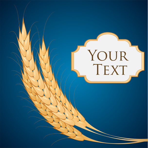 Vector background with ears of wheat. - Vector, Image
