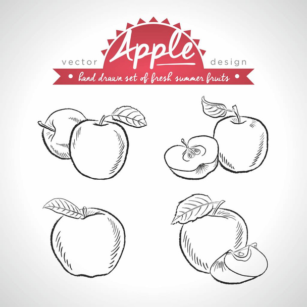 Apfel. Set frischer Früchte, ganz, halb und mit Blatt gebissen. Vektorillustration. isoliert auf weißem Hintergrund - Vektor, Bild