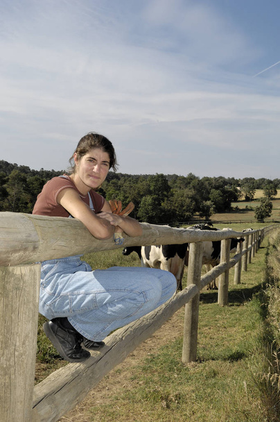 agricultor sentado em uma cerca e atrás de seu rebanho de vacas
 - Foto, Imagem