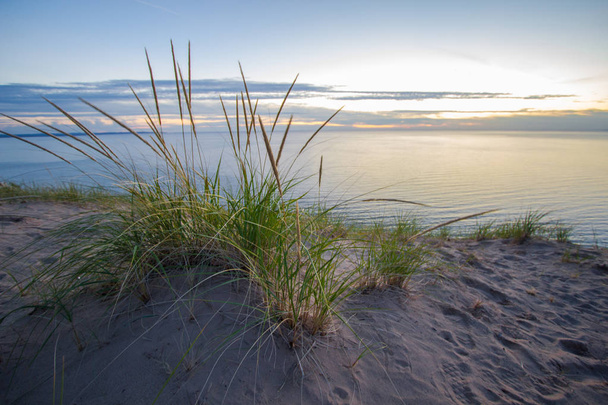 Kesäyöt. Dune ruoho reunalla massiivinen hiekkadyyni hämärässä rannalla Lake Michigan. Nukkuva karhu Dunes National Lakeshore, Michigan, Yhdysvallat
. - Valokuva, kuva