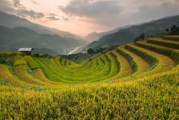 Bellissime risaie paesaggistiche a terrazze di Mu Cang Chai
 - Foto, immagini