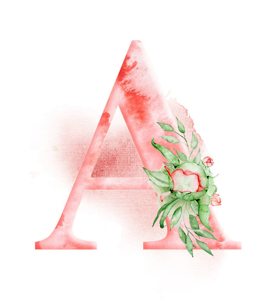 Floral watercolor alphabet. Monogram initial letter A design with hand drawn peony flower - Fotoğraf, Görsel