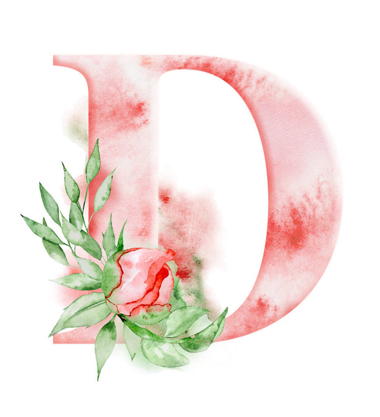 Floral watercolor alphabet. Monogram initial letter D design with hand drawn peony flower - Foto, Imagen