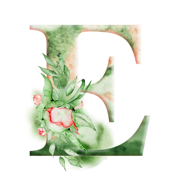 Floral watercolor alphabet. Monogram initial letter E design with hand drawn peony flower - Фото, изображение