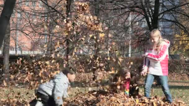 Autumn park fight - Footage, Video