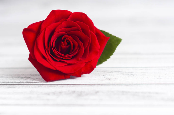 Czerwona róża na drewnianym stole z pokoju dla wiadomości - Zdjęcie, obraz