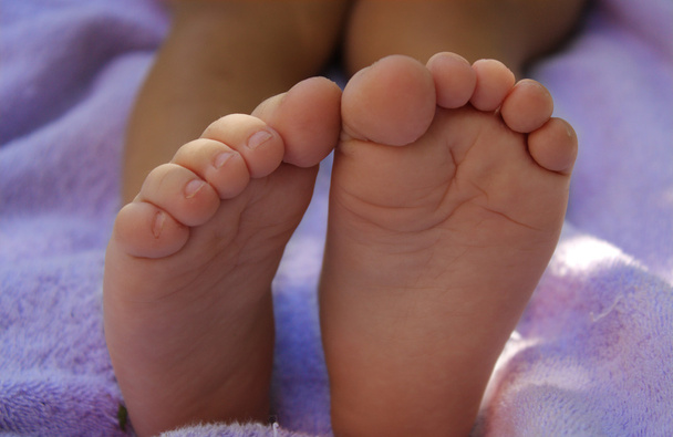 Stopy niemowlęce - Zdjęcie, obraz