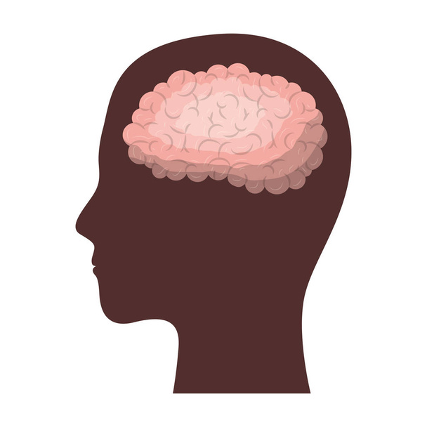 silhueta marrom rosto humano com cérebro dentro em silhueta colorida
 - Vetor, Imagem