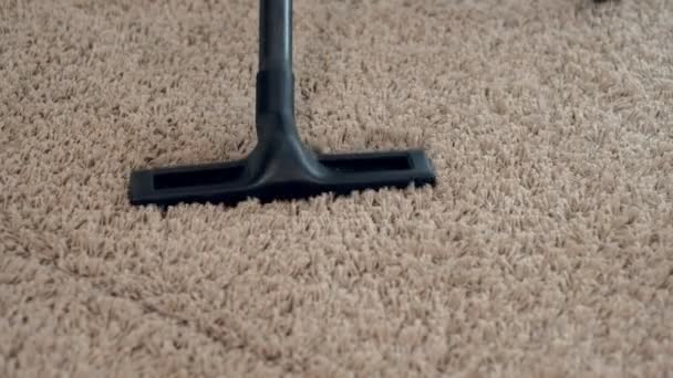 Η γριά κενά στο σαλόνι, κάνει τον καθαρισμό στο σπίτι - Πλάνα, βίντεο