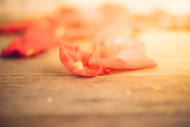 Sevgililer günü içinde ahşap zemin üzerinde kırmızı gül çiçek - Fotoğraf, Görsel