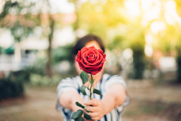 Czerwony kwiat róży z ludzką ręką w Walentynki - Zdjęcie, obraz