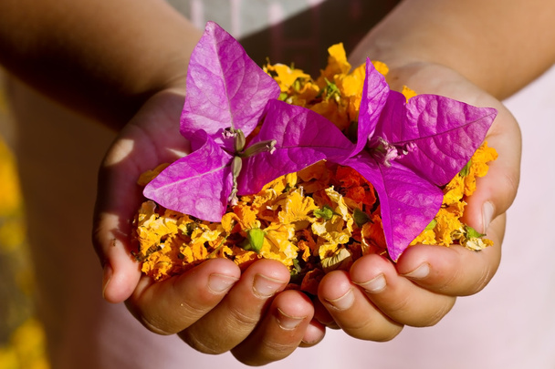 kind houdt geel en paarse bloemen - Foto, afbeelding