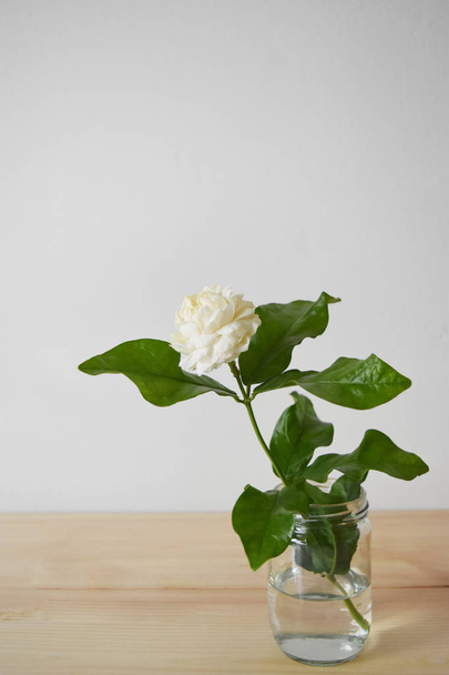 Fiori bianchi in un vaso di vetro su un tavolo di legno marrone
 . - Foto, immagini