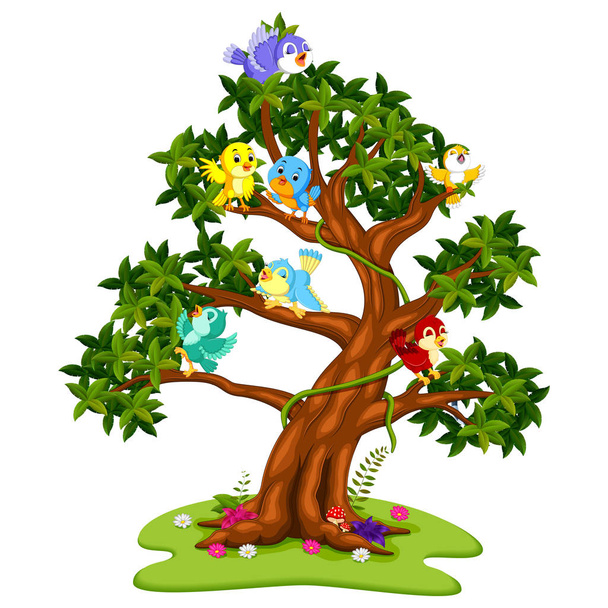 Багато птахів мультфільм на деревах
 - Вектор, зображення